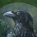 Crow raven - Art circle