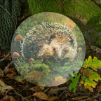Hedgehog - Art circle
