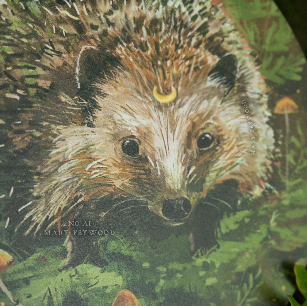 Hedgehog - Art circle