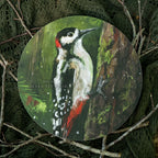 Woodpecker - Art Circle