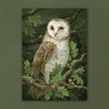 Barn owl in oak tree