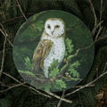 Barn owl in Oak tree - Art Circle