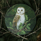 Barn owl in Oak tree - Art Circle