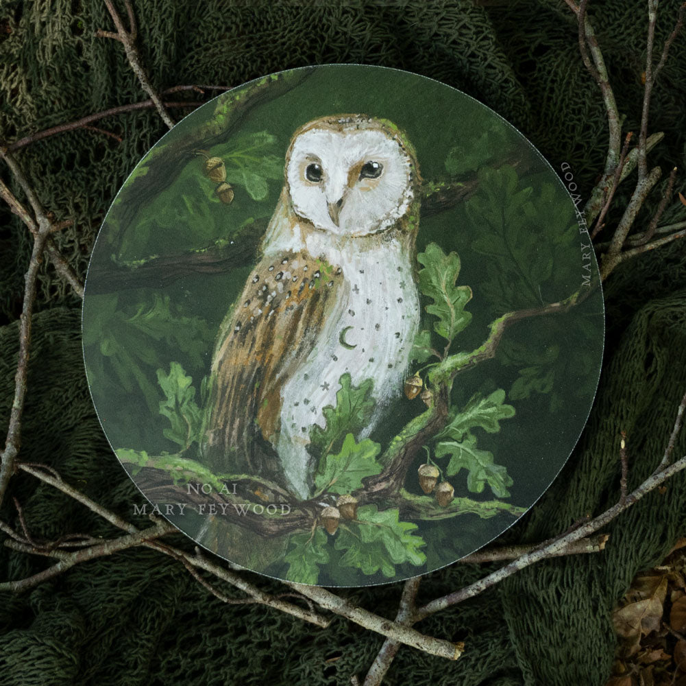 Barn owl in Oak tree - Art Circle
