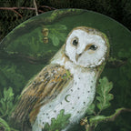 Barn owl in Oak tree - Art Circle
