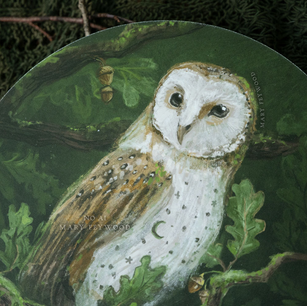 Barn owl in Oak tree - Art Circle