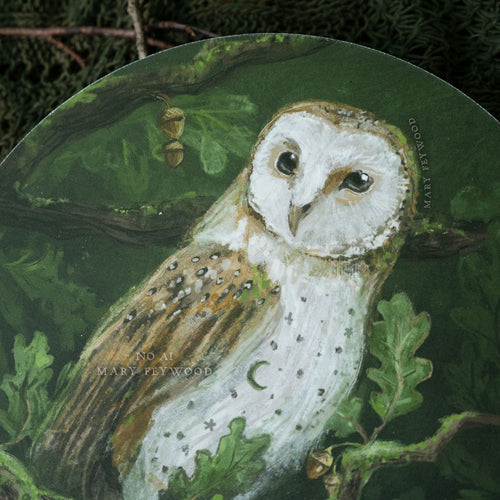 Barn owl in Oak tree - Art Circle