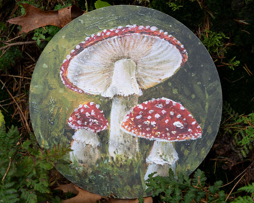 Art circle - Amanita Muscaria Mushrooms