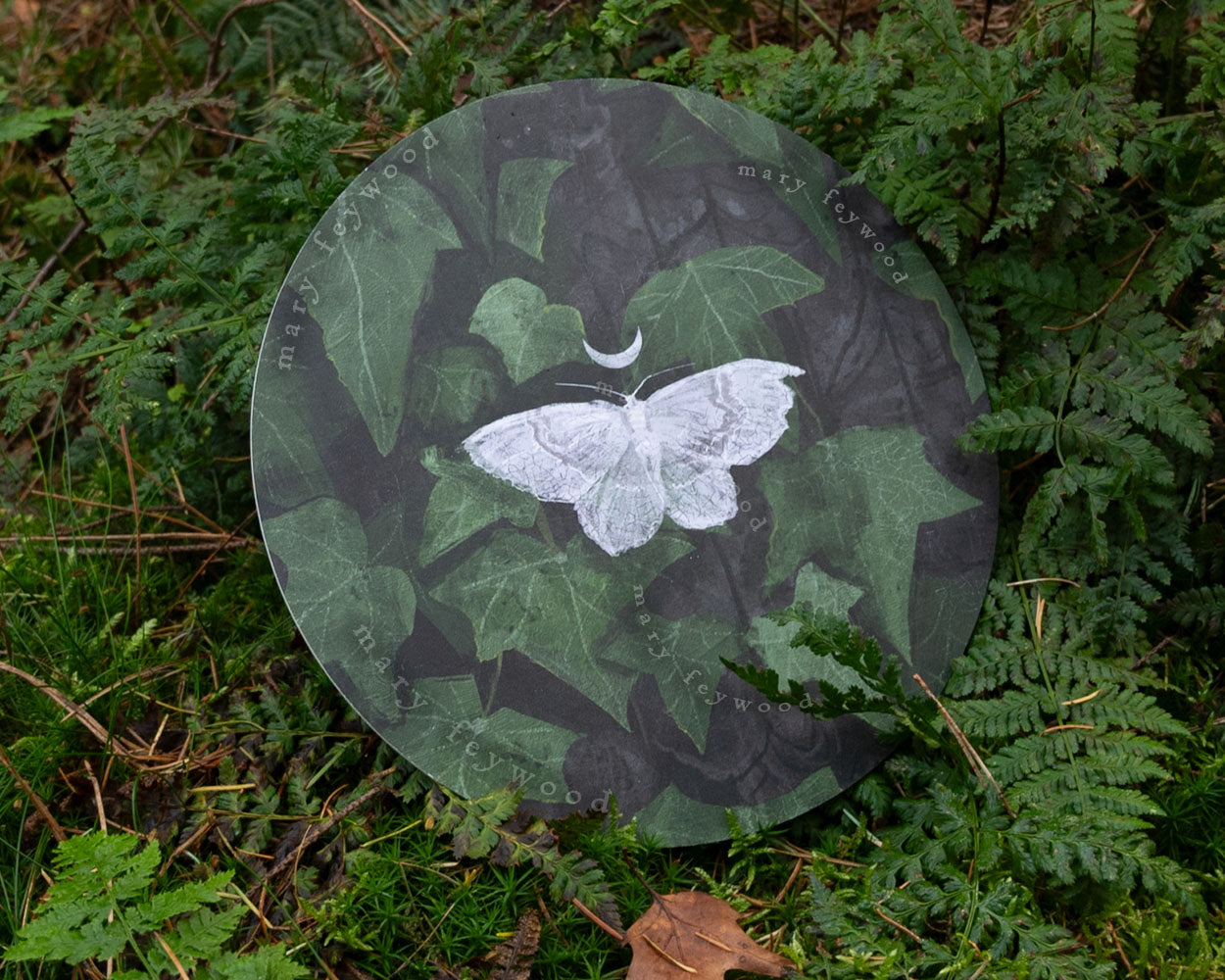 Art circle - Asthena Albulata (Small White Wave)