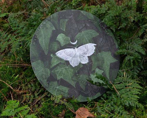 Art circle - Asthena Albulata (Small White Wave)