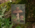 Amanita Pantherina Mushrooms