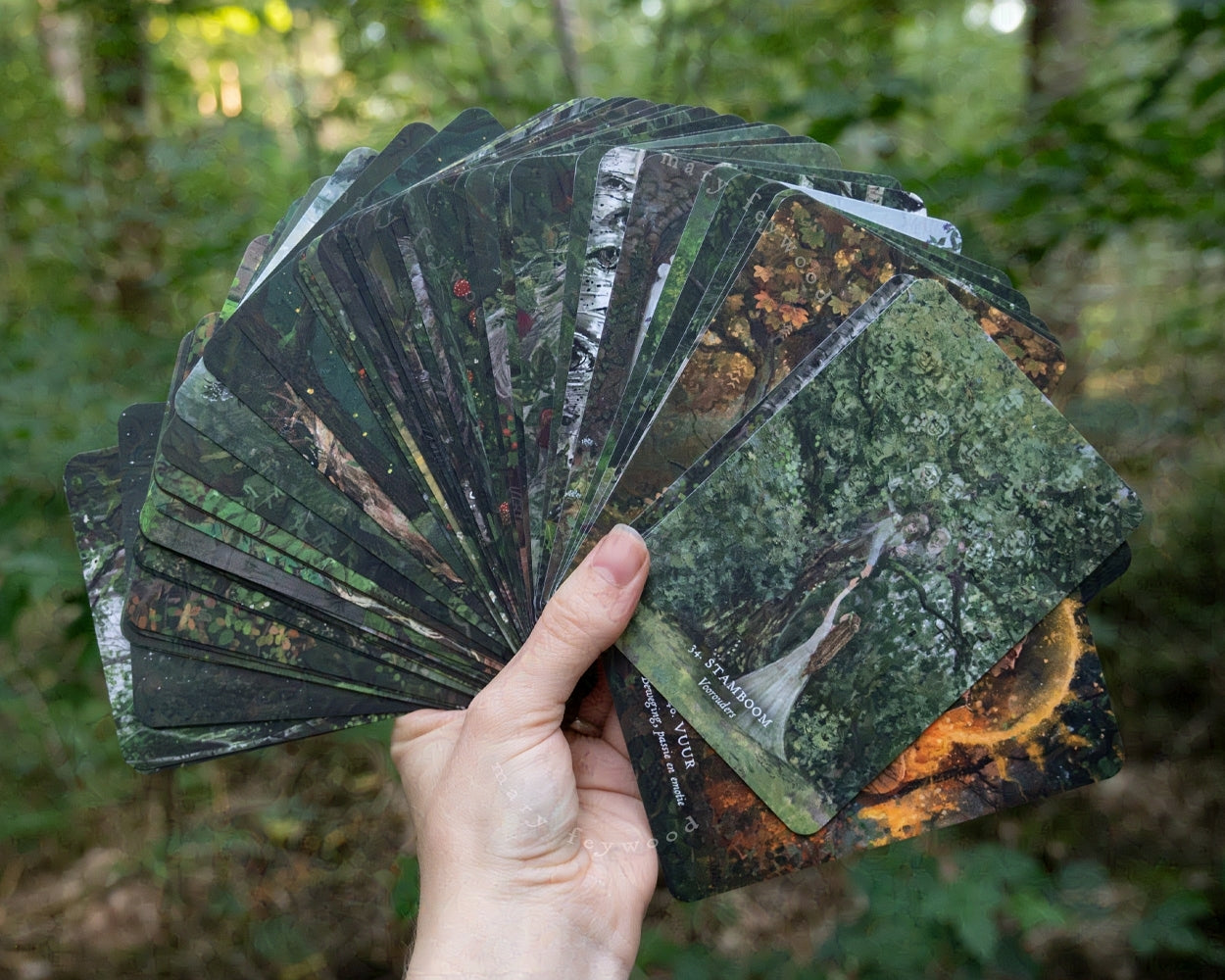 Feywood Orakel - Nederlands