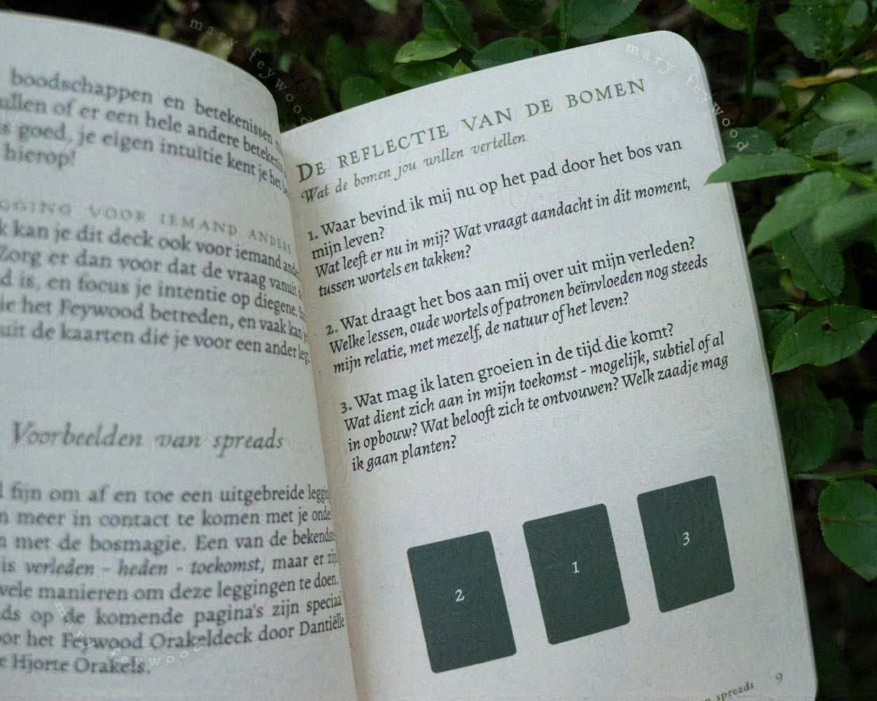 Feywood Orakel - Nederlands