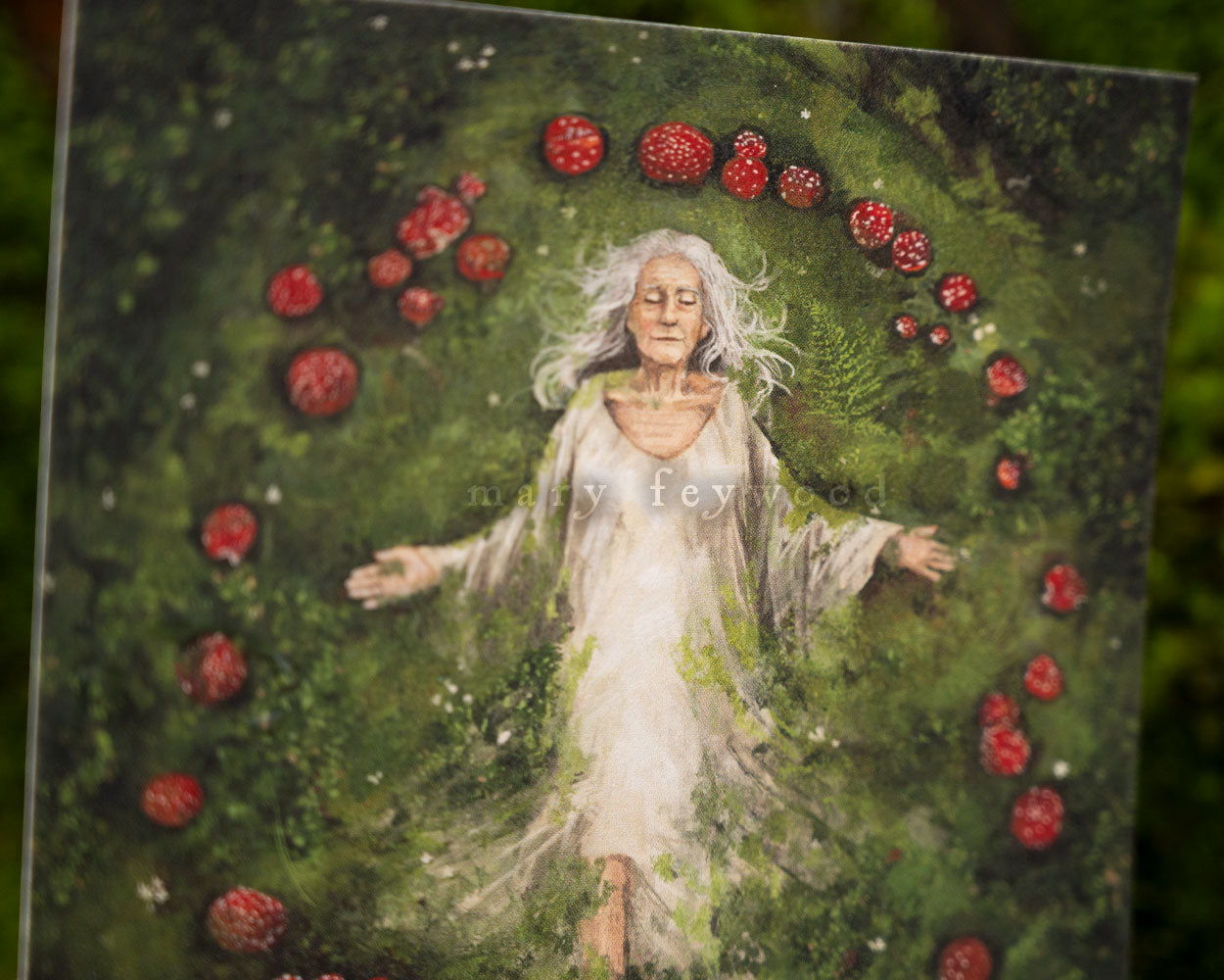 Mushroom Circle Sleep