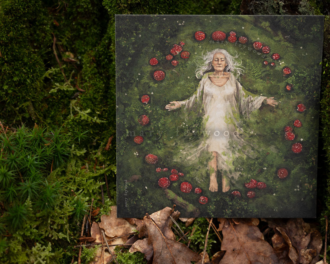 Mushroom Circle Sleep