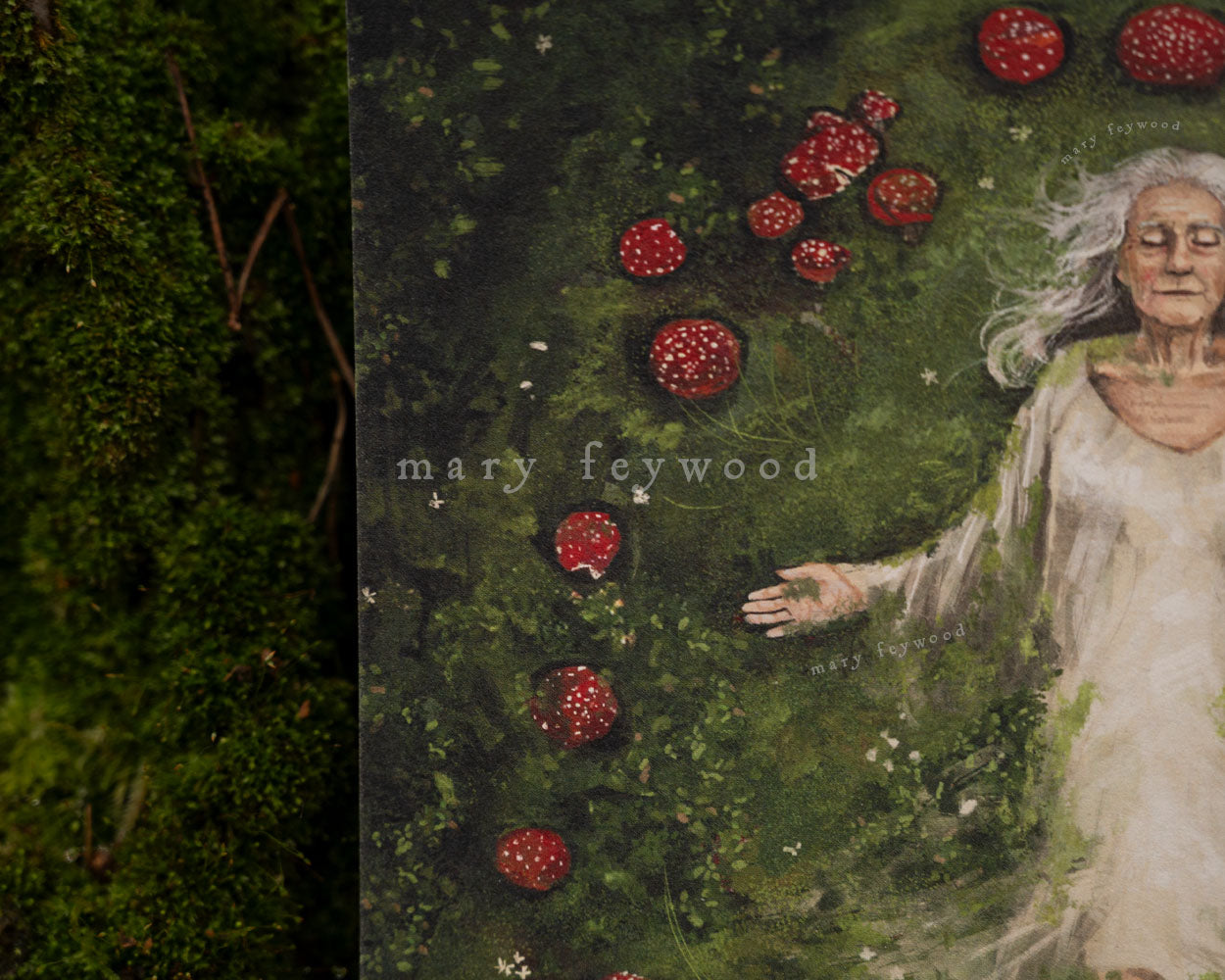 Mushroom Circle Sleep