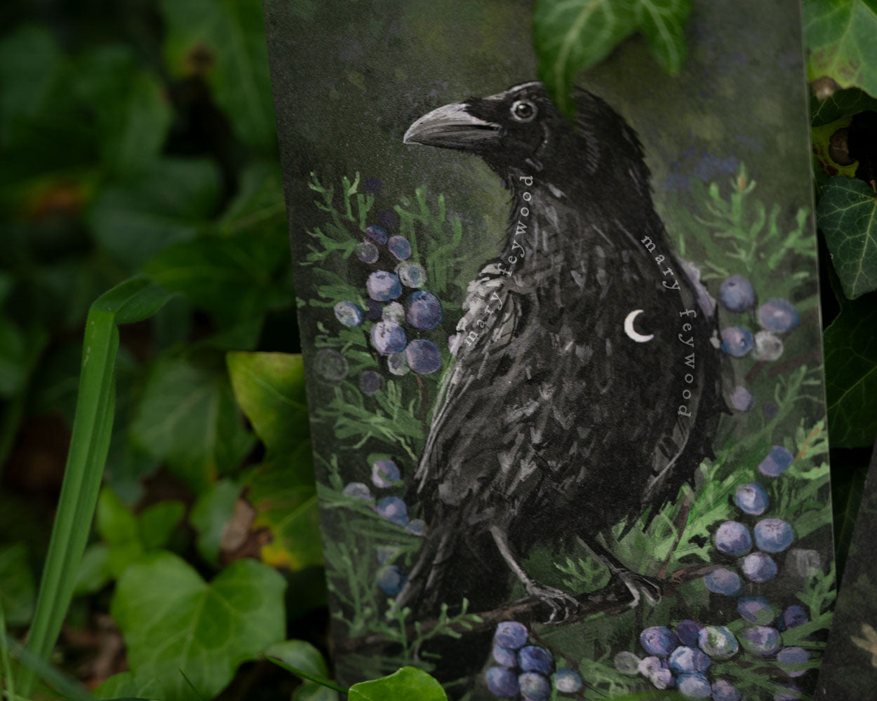Crow-Raven