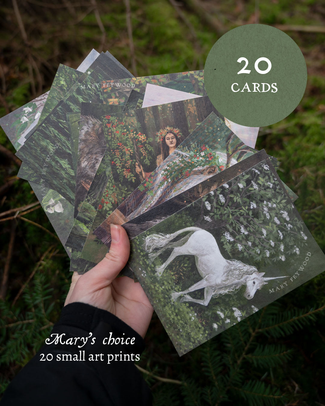 Mary's choice - 20 cards