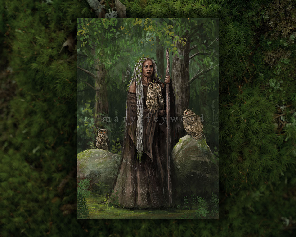 Owl Crone