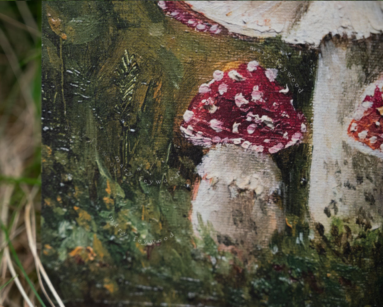 Amanita Muscaria Mushrooms