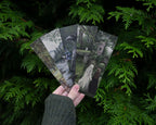 Bookmark set - Gloomy forest