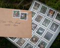 Post stamp stickers - Woodland mail