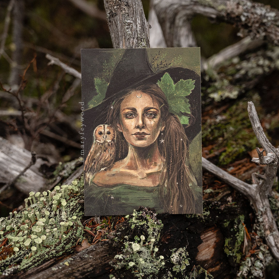 Witch with owl