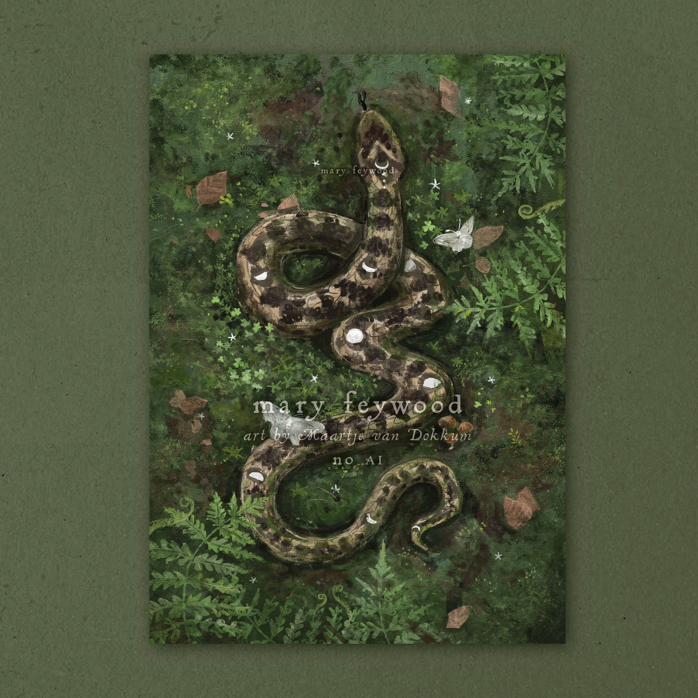 Adder (Vipera berus)